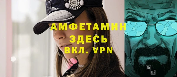 сатива Грязи