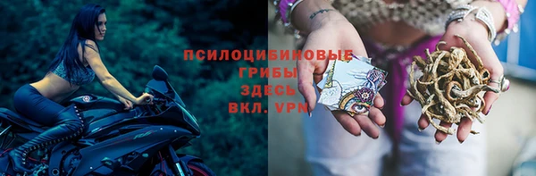 а пвп мука Алагир