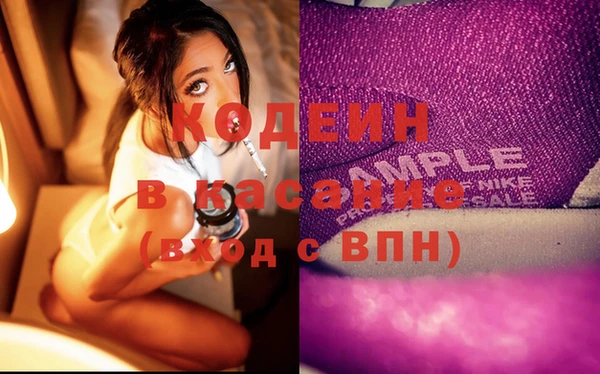индика Губаха