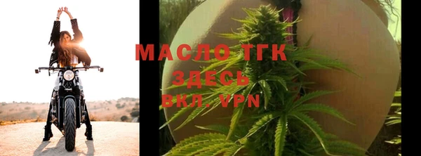 сатива Грязи
