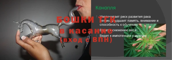 соль ск Алапаевск