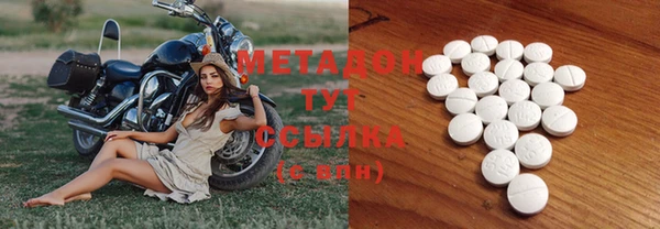 индика Губаха