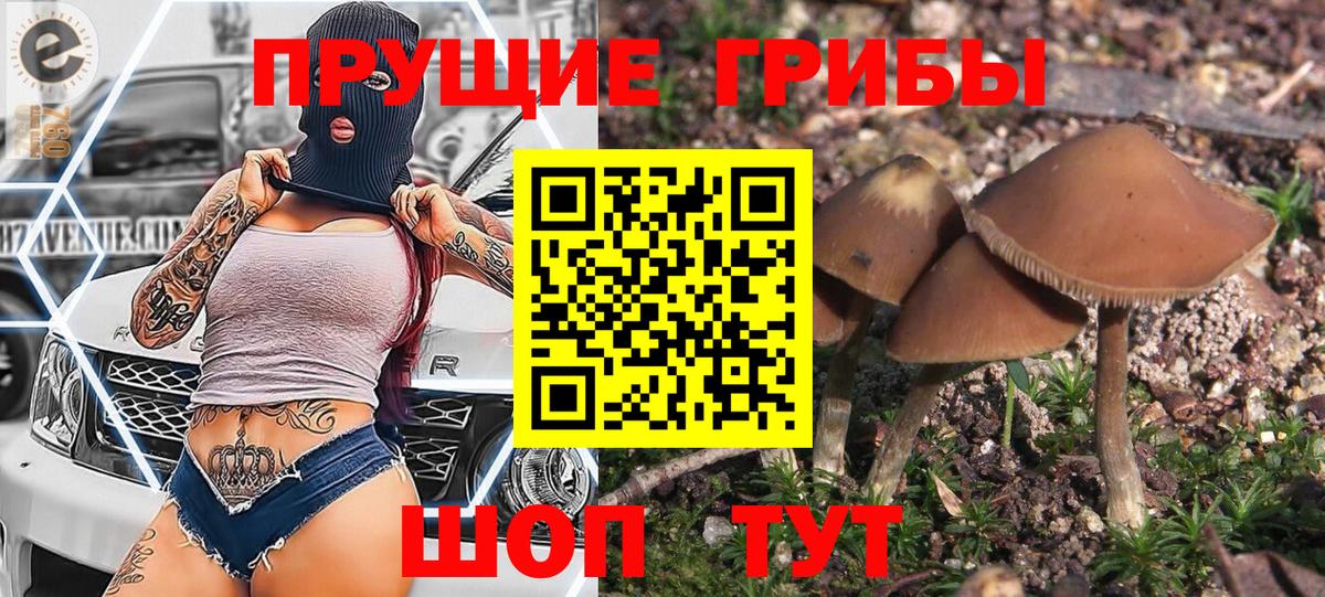 Меф  Хэш  Кокаин  Балахна  COCAIN  Купить наркотик  Конопля  Вход с VPN  Каннабис  Alpha-PVP  МДМА 