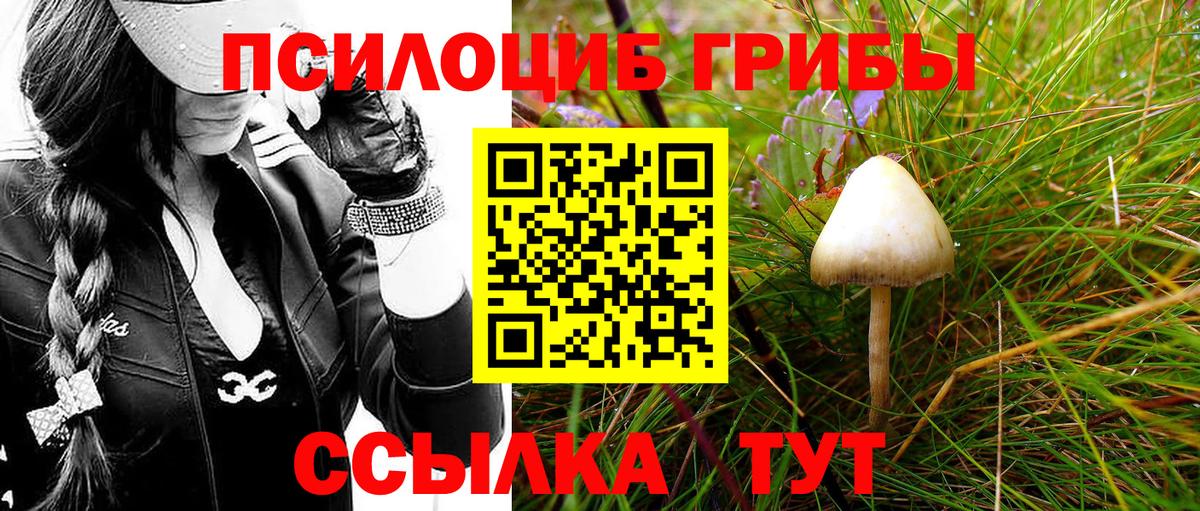 Псилоцибиновые грибы прущие грибы Балахна