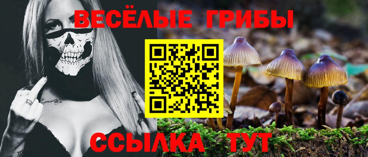 купить наркотик  Псилоцибиновые грибы прущие грибы  Балахна  Вход с VPN  Псилоцибиновые грибы прущие грибы 