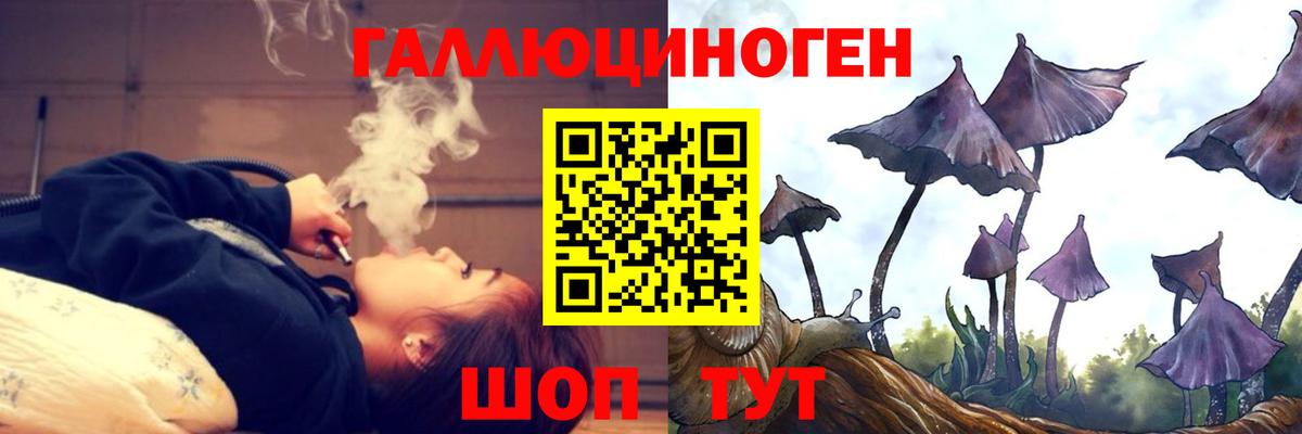 Балахна  Псилоцибиновые грибы GOLDEN TEACHER  Вход с VPN  Галлюциногенные грибы мухоморы 